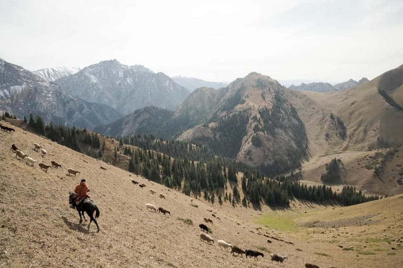 Kyrgyzstan: Horse trek, horsemanship & local community - Who Will Love This Tour?