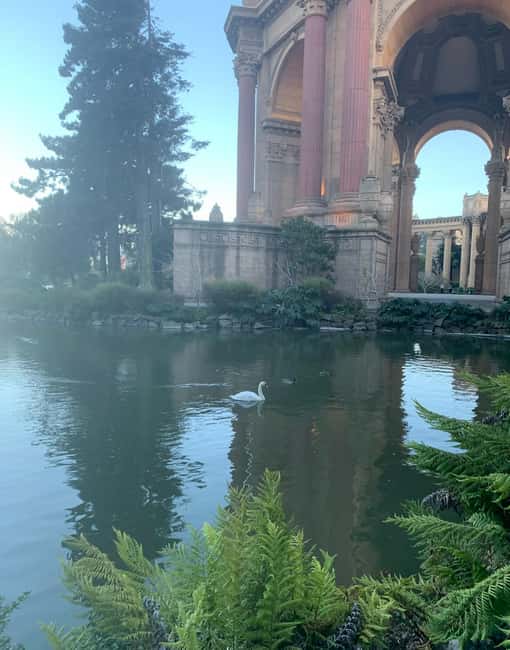 San Francisco: Billionaire's Row & Palace of Fine Arts Tour - Final Thoughts