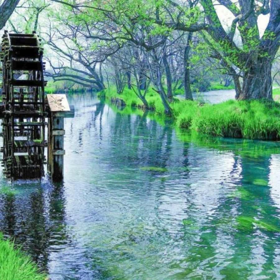 Nagano & Tokyo: Snow Monkey Private Customizable Day Tour - A Deep Dive into the Nagano & Tokyo Snow Monkey Tour