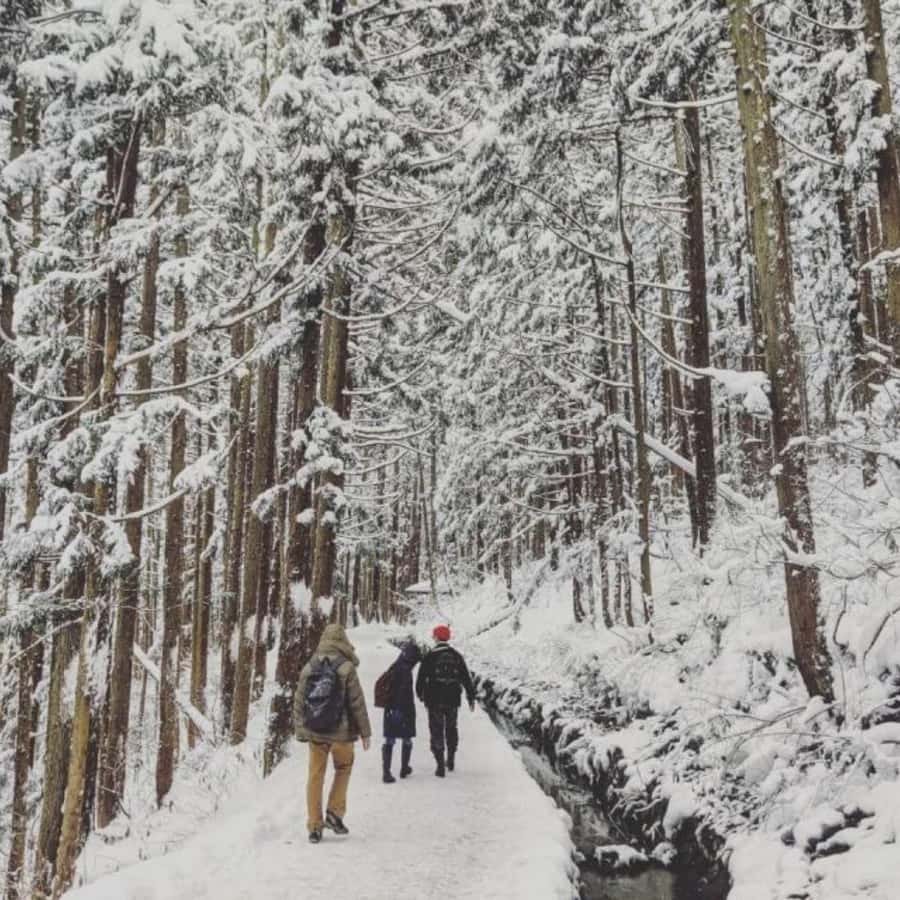Nagano & Tokyo: Snow Monkey Private Customizable Day Tour - FAQ