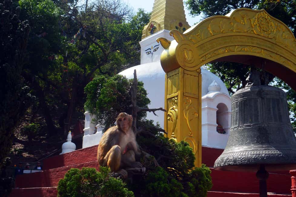 Wisdom Eyes of Kathmandu: An exploration of Buddhist Stupas - The Value of the Tour