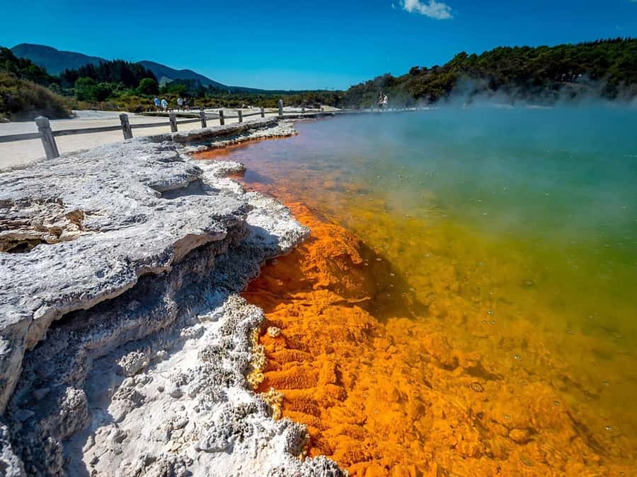 Auckland: Wai-O-Tapu, Maori Haka & Hot Springs Rotorua Tour - First Stop: Lady Knox Geyser