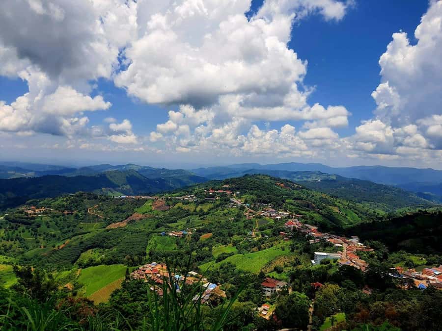 Chiang Rai: Doi Mae Salong & Doi Tung Guided Day Trip - Who Is This Tour Best For?