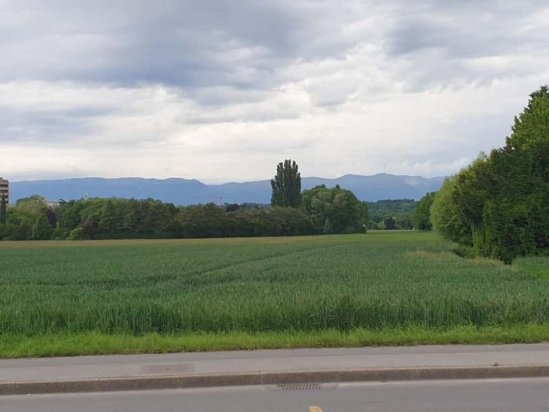 Geneva Countryside, Wine Tasting, Aperitif, Castle By E-bike - Is It Worth the Price?