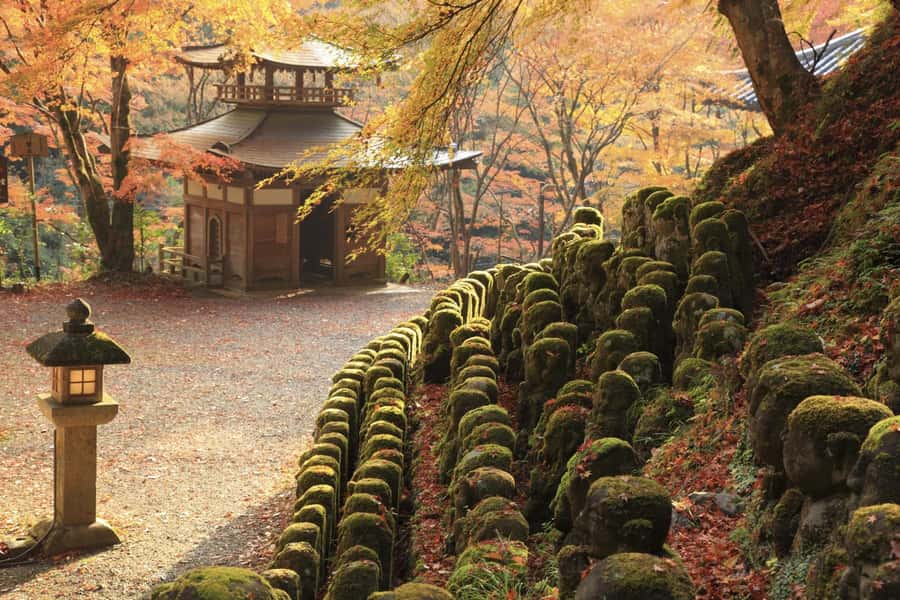 Kyoto: Hidden Temples Guided Tour with Arashiyama Visit - Exploring Kyoto’s Lesser-Known Temples and Districts