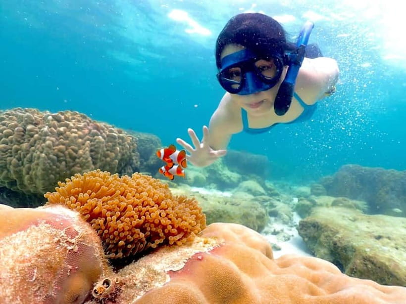 Snorkel & Chill: Nemo Island Trip from Pattaya - Practical Details and Tips