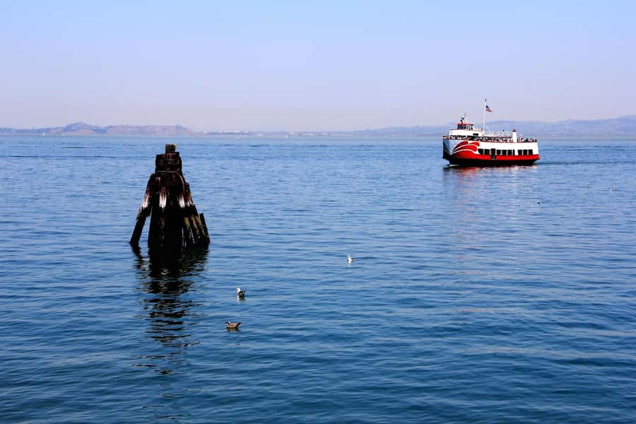 San Francisco Downtown Walking Tour with Cruise Tickets - Authentic Stories and Local Insights