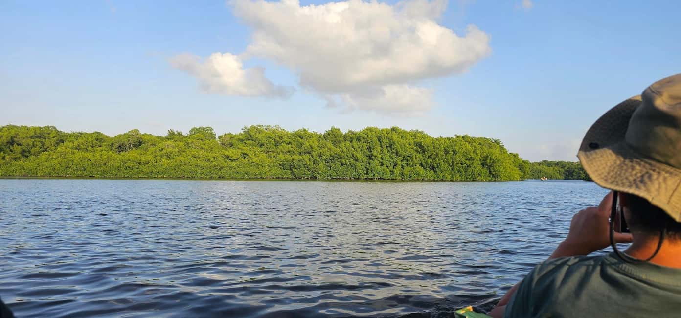 Trinidad: Birding Day Tour with Yerette and Caroni - What Makes This Tour Stand Out?