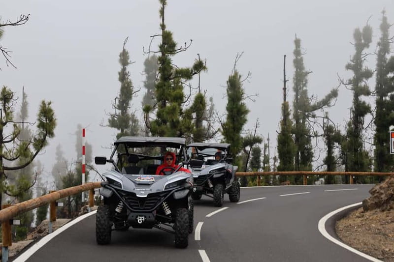 Puerto de la Cruz: Buggy Teide National Park - Practical Details and Insights