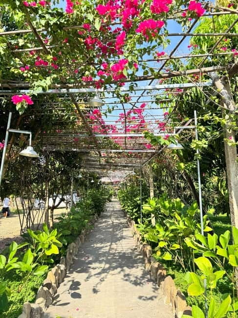 Doc Lech Beach & Ozphanage Mo Doc Tinh Glamping & Retreat - An Inside Look at the Itinerary