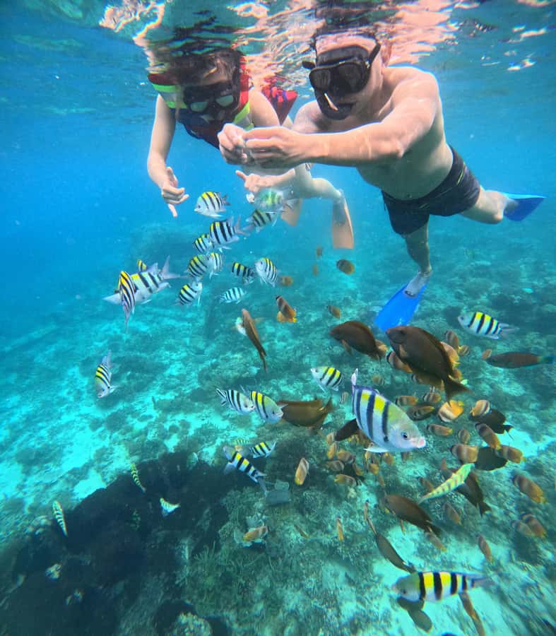 From Lombok Private Snorkeling 3 Gili All Inclusive - FAQ