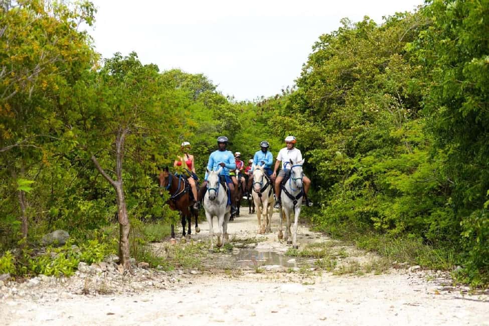 Miches: Laguna El Limón Kayak and Horseback Riding Tour - Good To Know