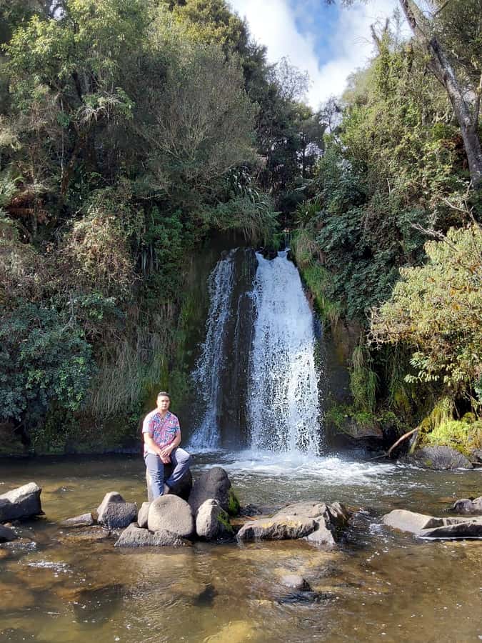 Rotorua (:) Whirinaki Forest Day & Night Walking With Us - What You Can Expect from the Experience