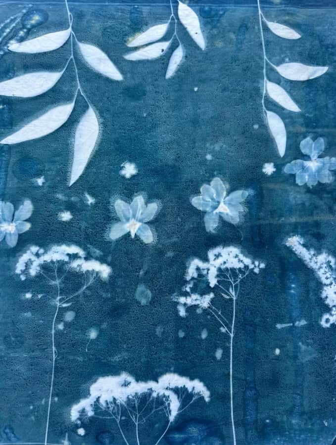 Tokyo in Bloom : Botanical Printing Workshop - What to Expect from the Tokyo in Bloom Workshop
