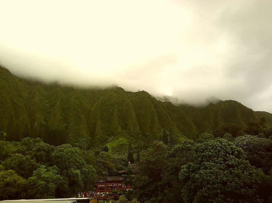 From Waikiki: Hawaii Grand Circle Island Tour - What Travelers Say