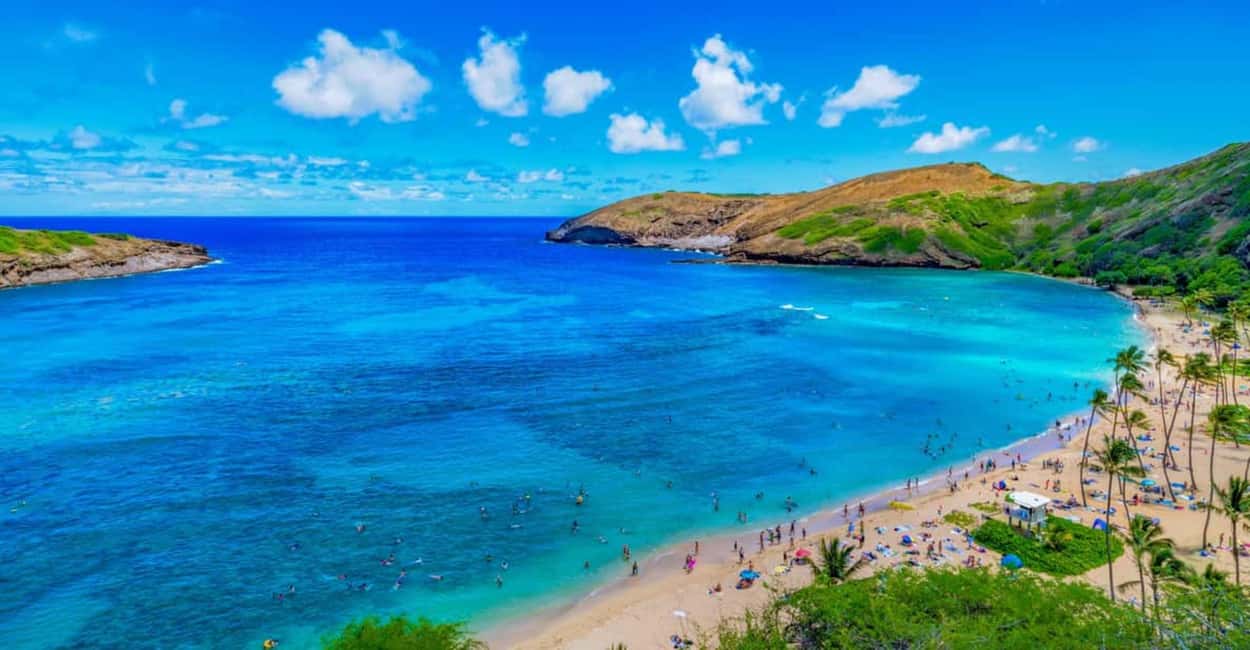 From Waikiki: Hawaii Grand Circle Island Tour - Highlights of the Itinerary in Detail