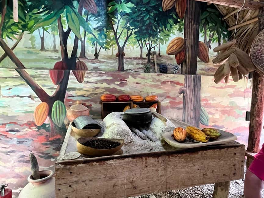 Sabor Dominicano: Rum, Chocolate and Culture Private Tour - Introduction to the Tour