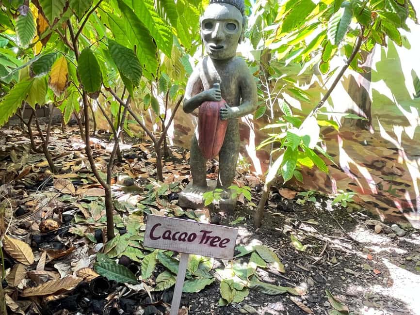 Sabor Dominicano: Rum, Chocolate and Culture Private Tour - Practical Considerations