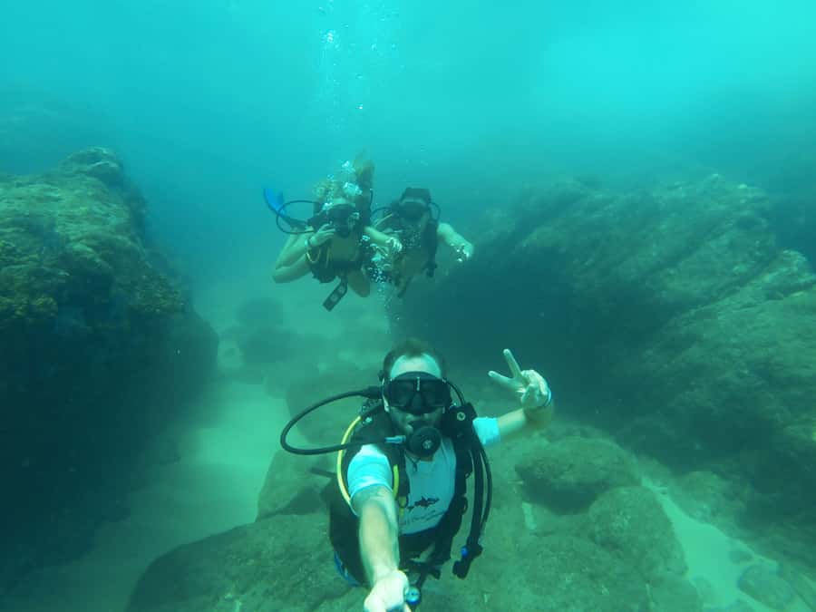 Cabo San Lucas: Scuba Diving in Cabo San Lucas Marine Park - Key Points