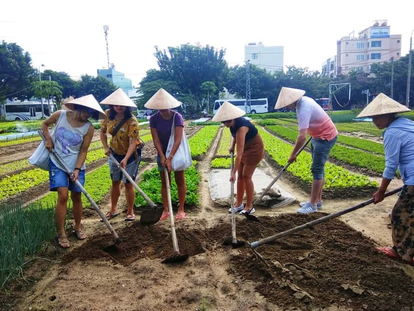 Hoi An: Jolie Cooking Class - A Quick Look at the Jolie Cooking Class Experience