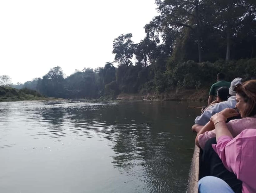 Chitwan Combo Tour: Jeep Safari, Canoeing & Jungle Walk - Good To Know  