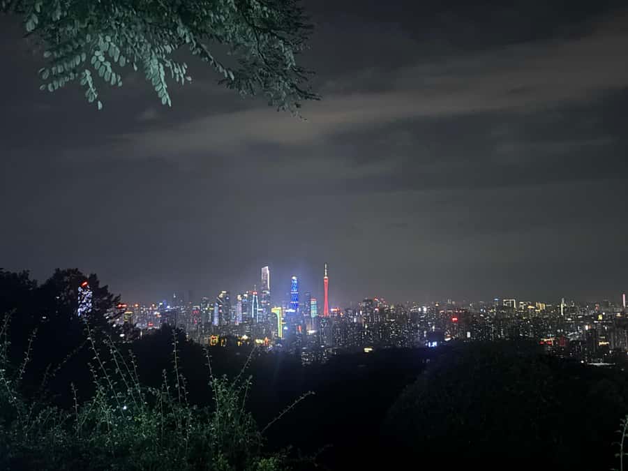 Guangzhou: Jade Market Private Tour and Guzheng Music Class - Who Will Enjoy This Tour Most?