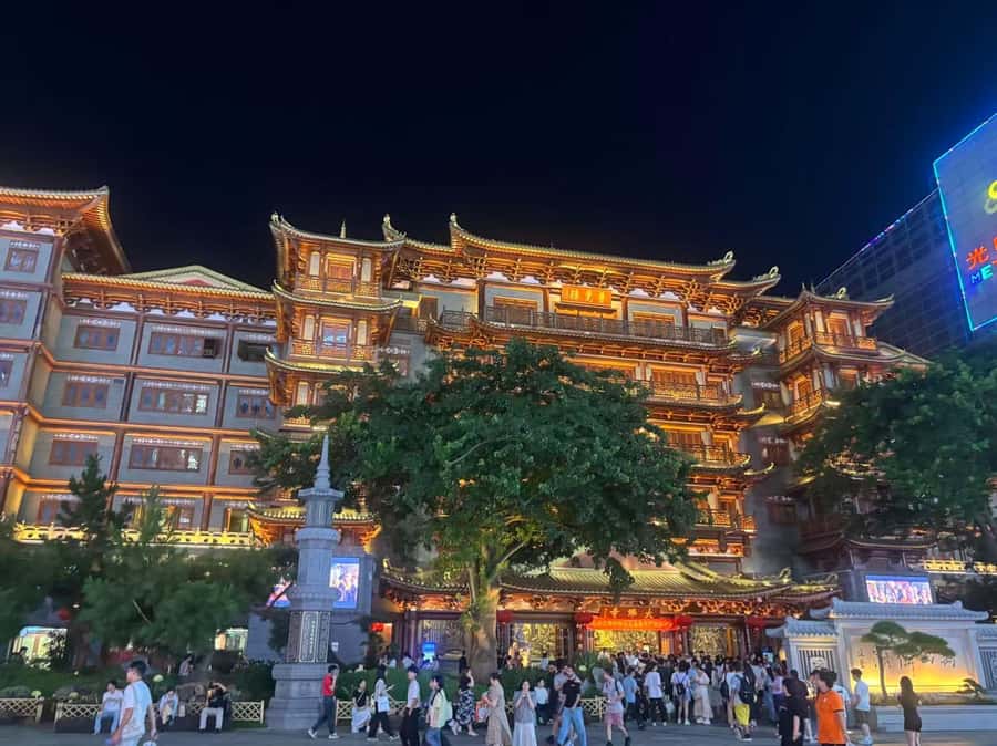 Guangzhou: Jade Market Private Tour and Guzheng Music Class - Why This Tour Offers Great Value