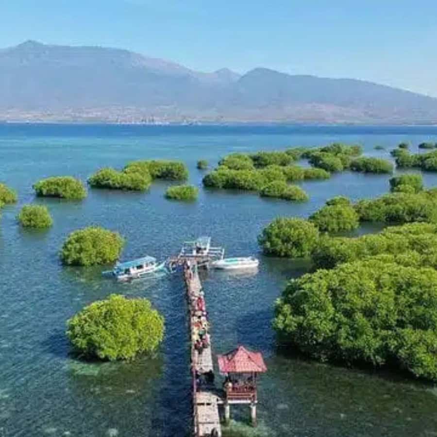 Private 4-Island Tour: Gili Kondo, Petagan, Bidara by Boat - An Authentic Day on Lombok’s Lesser-Known Islands