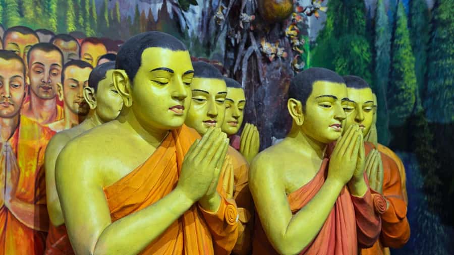 Negombo: Private City Tour with Ayurvedic Massage & Lunch - Why This Tour is Worth Considering