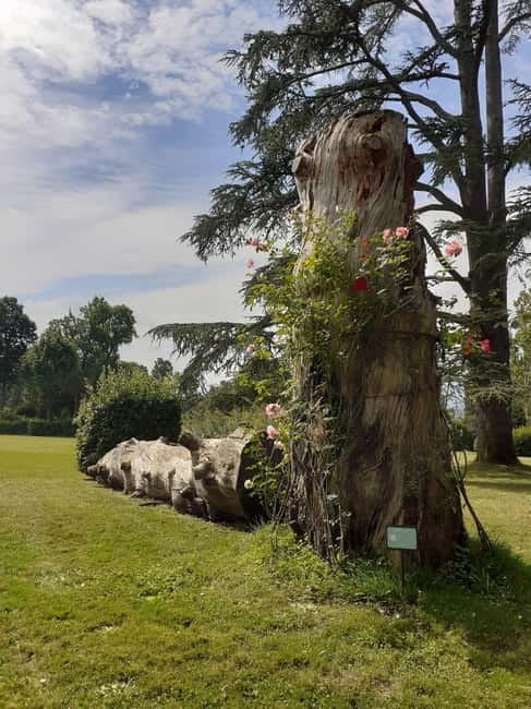 Guided tour of the park of Villa Reale di Marlia - The Value of the Experience