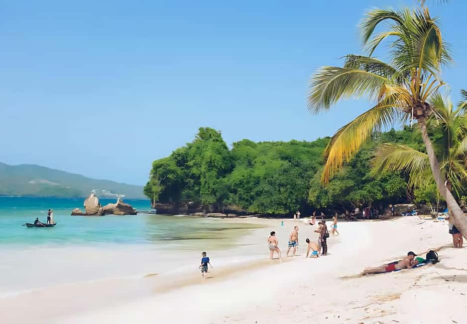 Punta Cana: Samaná Peninsula Whale Watching Day Trip - Key Points