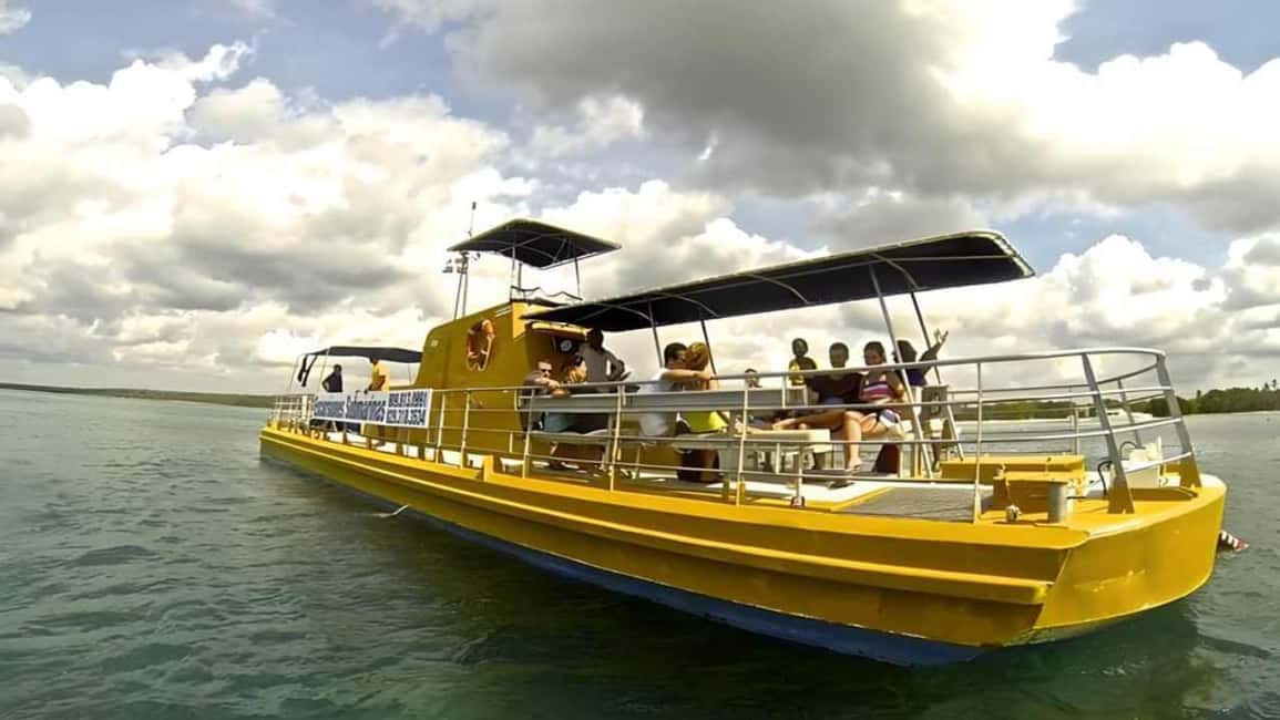 Saona Island Day Trip with Lunch and Open Bar at Punta Cana - Key Points