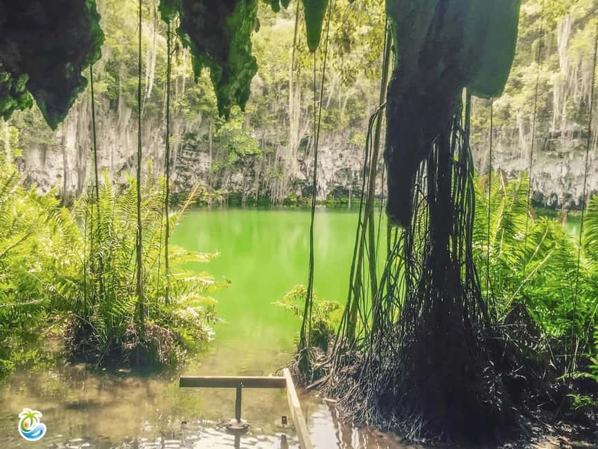 Punta Cana: Santo Domingo Private Day Trip with Lunch - Key Points