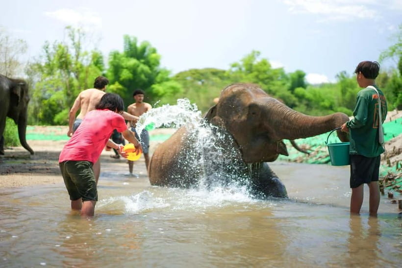 Chiang Mai: Jungle Jumbo Elephant Sanctuary with Waterfall - Good To Know  