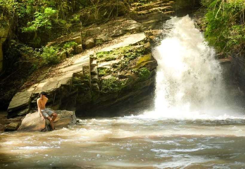 Chiang Mai: Jungle Jumbo Elephant Sanctuary with Waterfall - Why This Tour Offers Great Value  