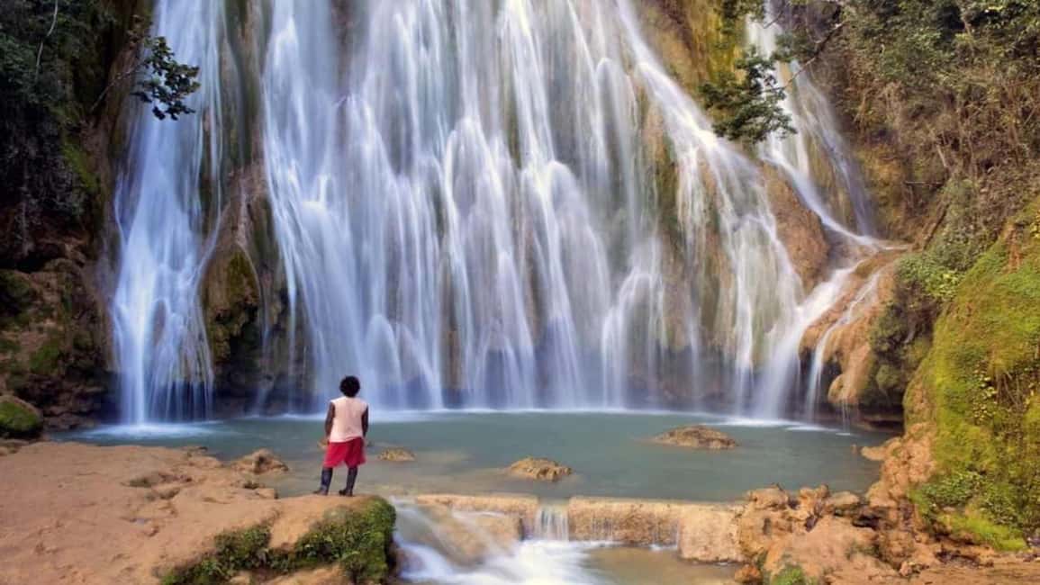 From Punta Cana: Samaná Whale Watching & Bacardi Island Tour - The Sum Up