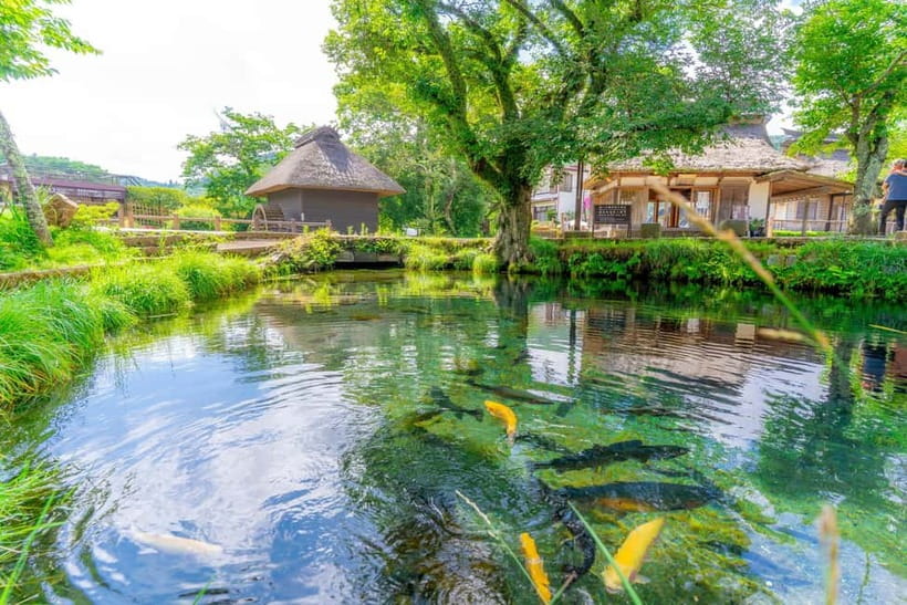 Shine Muscat Buffet, Fuji Ice Cave & Oshino Hakkai Day Tour - Who Will Enjoy This Tour?