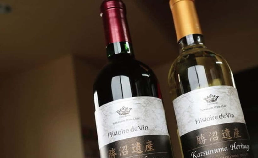 Shine Muscat Buffet, Fuji Ice Cave & Oshino Hakkai Day Tour - FAQ