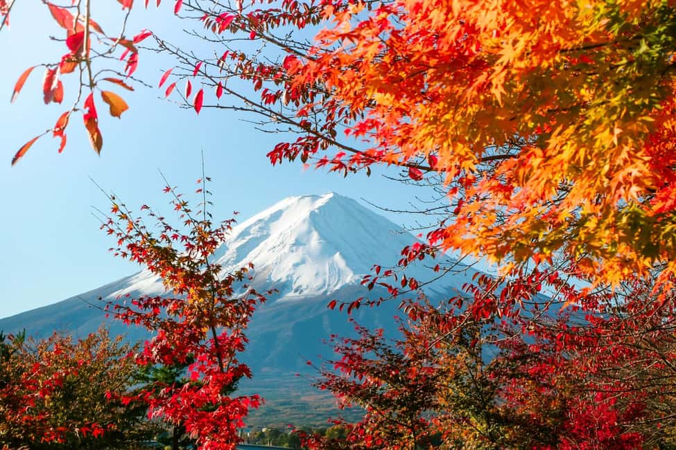 Tokyo: Mt. Fuji 5th Sta. & Autumn Festival Tour with lunch - Exploring the Itinerary in Detail