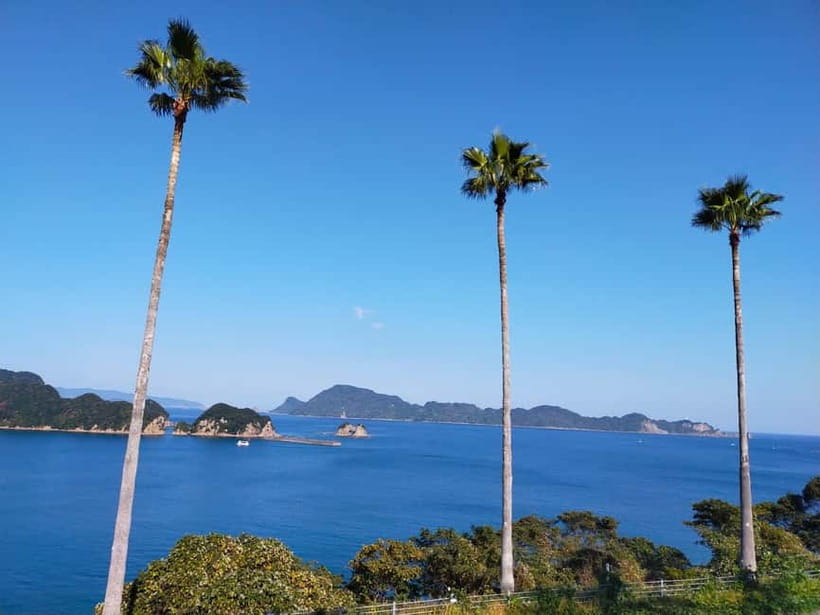 Miyazaki: Surfing & SUP Lesson with Equipment Rental - What to Expect from the Miyazaki Surf & SUP Lesson