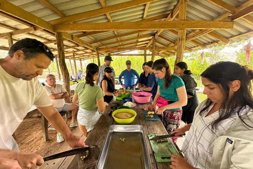 Chiang Mai: Day for Elephant Observation Only Half-day Trip - An Honest Look at the Experience