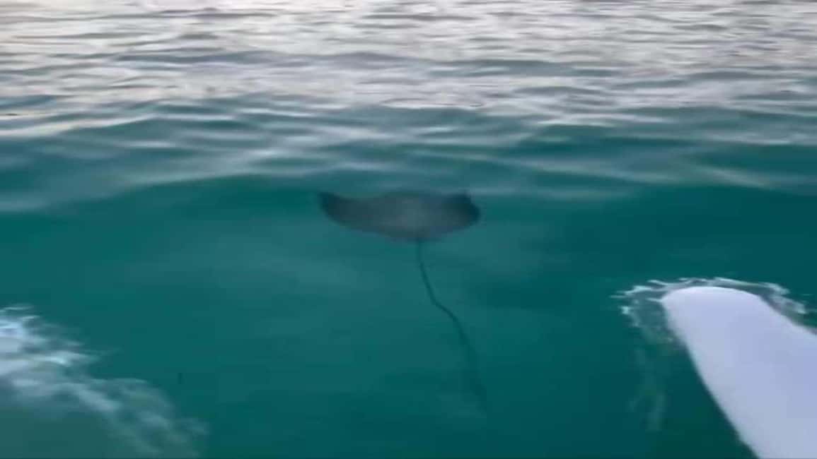 Punta Cana: Water Bike Tour with Snorkeling and Lunch - Lunch at Playa Blanca Club