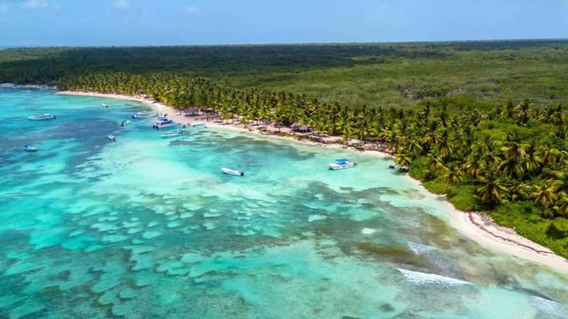 Juan Dolio: Saona Island Day Trip with Lunch & Open Bar - Who Will Love This Tour?
