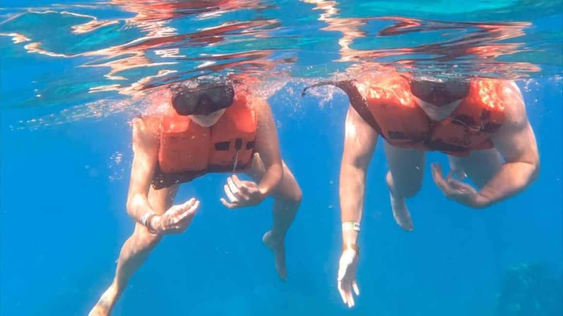 Punta Cana: Catalina Island Snorkeling Tour - An Introduction to the Tour