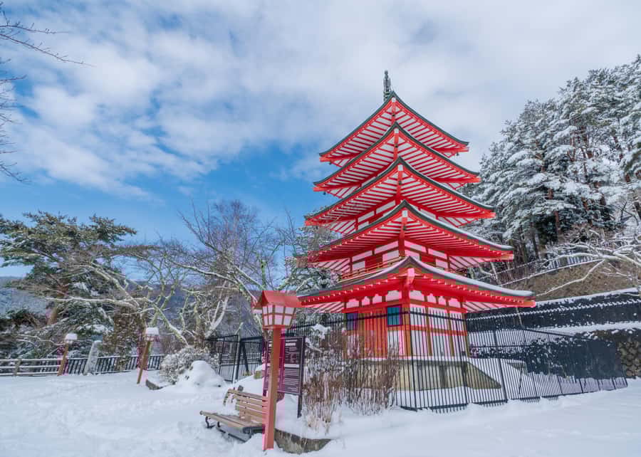 Tokyo: Mt Fuji Signature 6 Scenic Spots Tour & Lake Yamanaka - Authentic Insights from Reviews