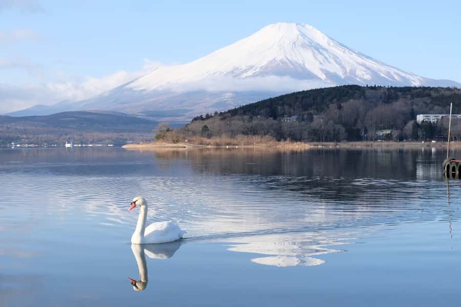 Tokyo: Mt Fuji Signature 6 Scenic Spots Tour & Lake Yamanaka - An In-Depth Look at the Itinerary