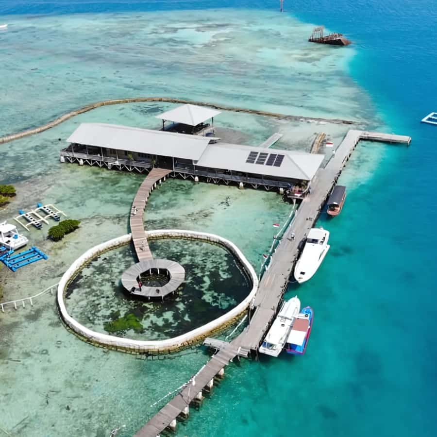 Jakarta: Private Yacht Trip to Sepa Island with Snorkeling - Setting Sail from Jakarta: What to Expect