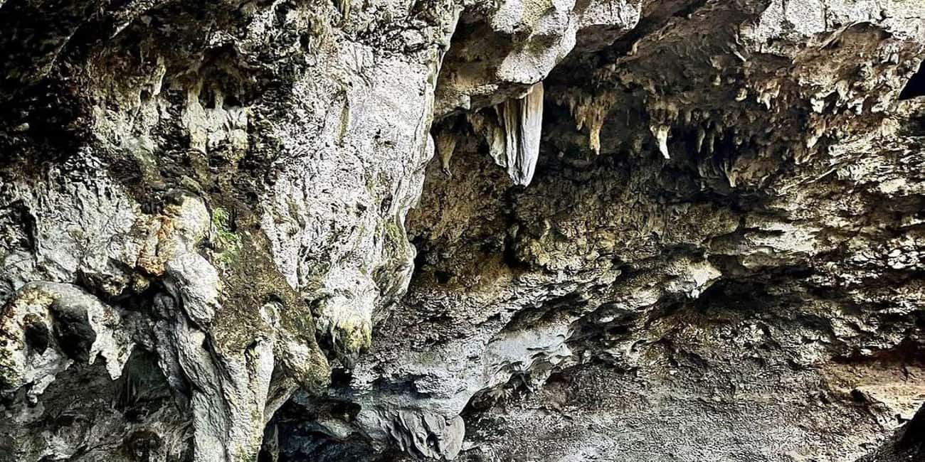 Punta Cana: All Inclusive Santo Domingo Full-Day City Tour - FAQs