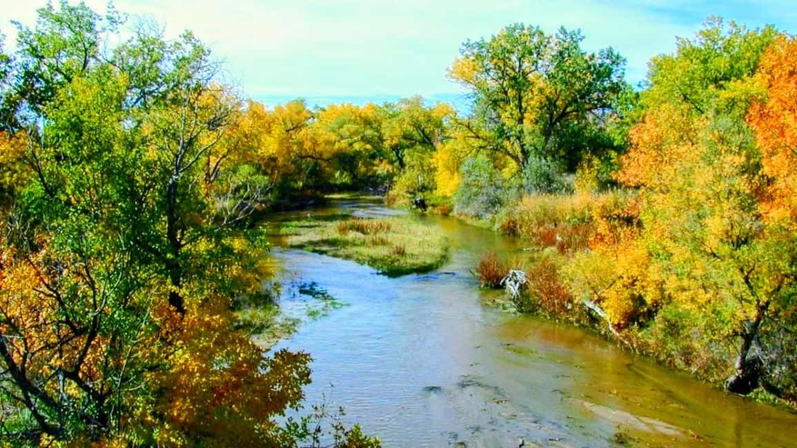 E-Bike & Brews: Denver's Platte River & Brewery E-Bike Tour - Comprehensive Review