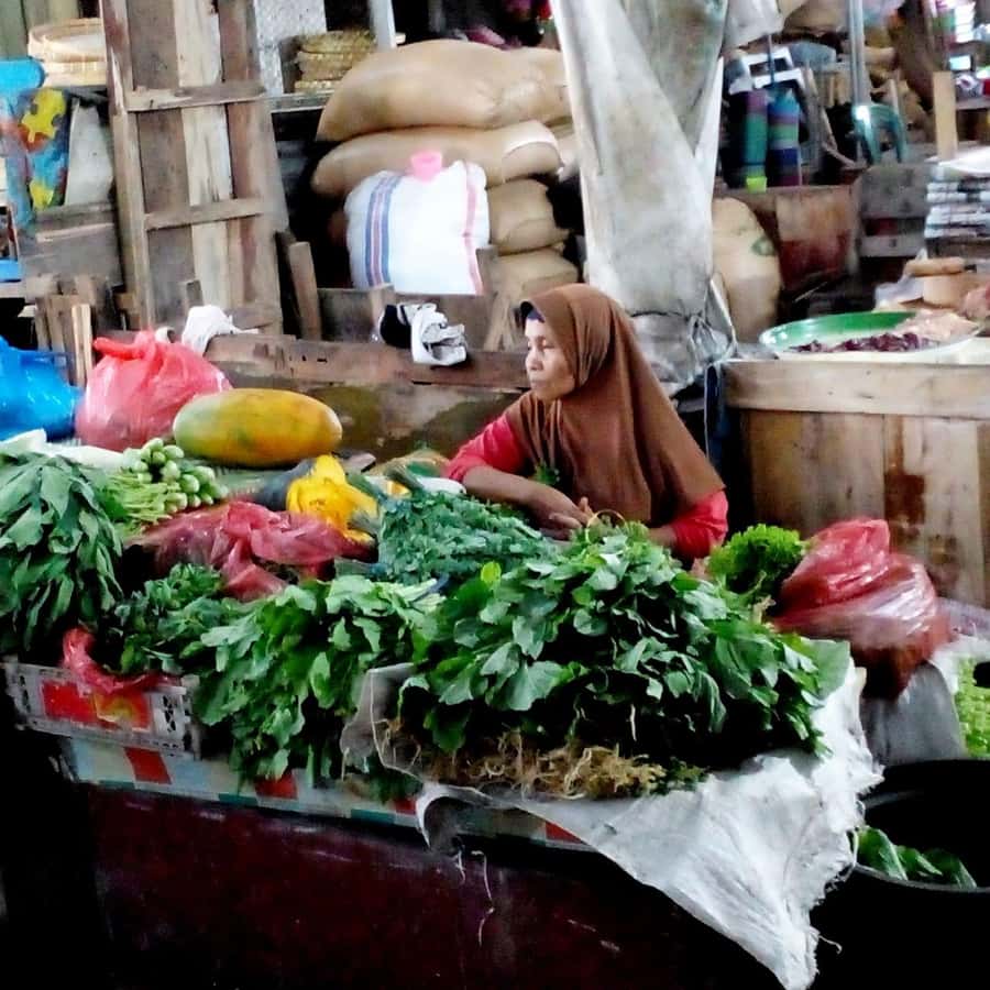 Lombok : City Tour and Atmosphere of Nature Countryside Tour - Discovering Lombok’s Cultural Heart and Natural Beauty